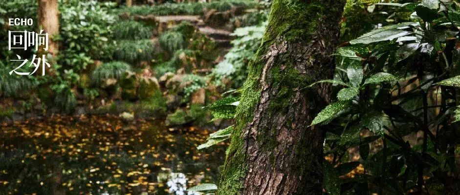 梭罗：诗意栖居的本质是诚实面对自己