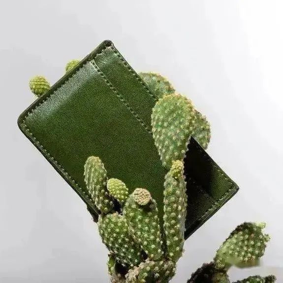 生物基材料趋势：仙人掌、橡胶树等植物再造皮革
