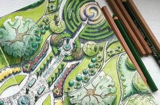 【零基础】保姆级景观手绘视频教程