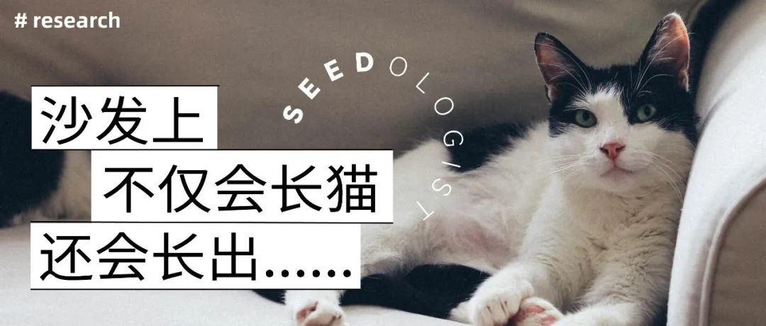 沙发总是长出衣服怎么办?在线等挺急的