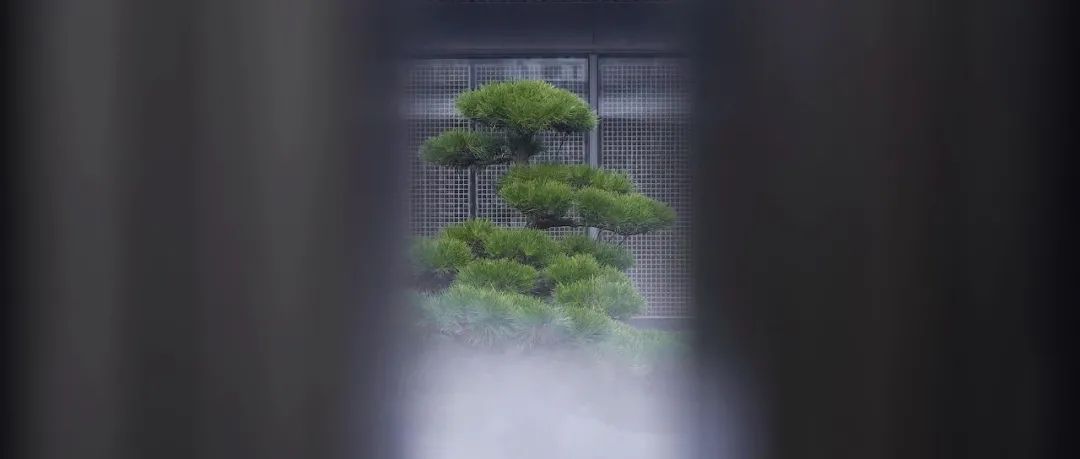 唐忠汉新作 / 融创·山水云龙，寄心于天地