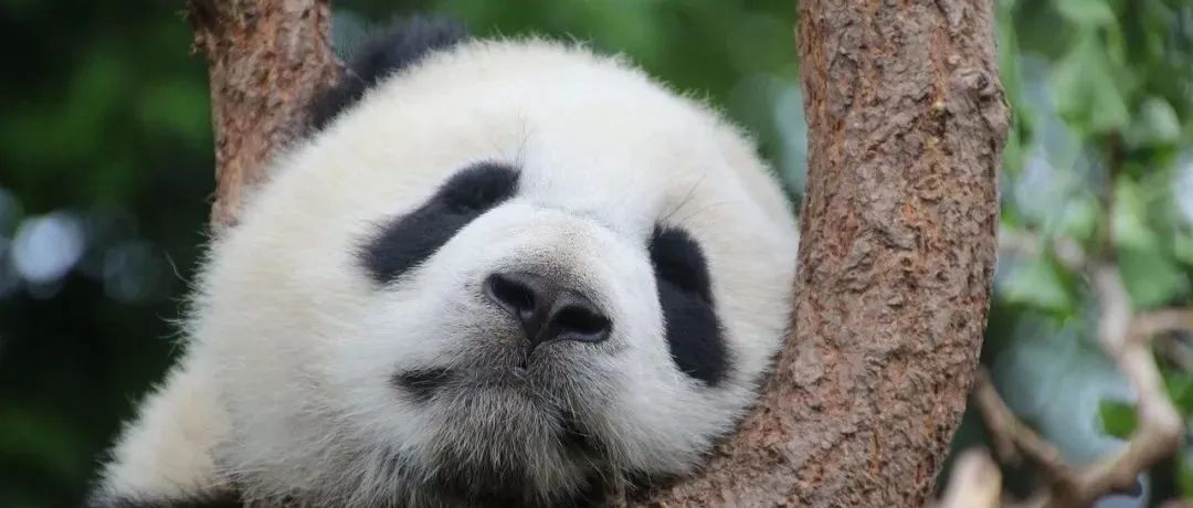 中国卡欧美国家脖子的41项硬核科技！