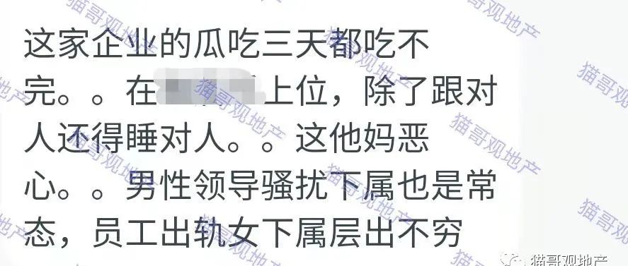 惊掉下巴，一家充满“开车”文化的房企