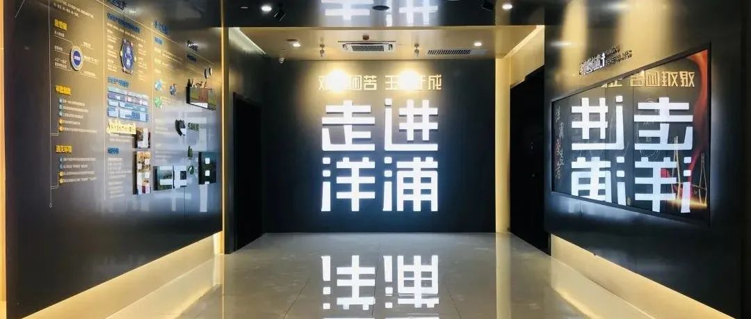 习近平考察洋浦经济开发区展示馆 | 数字艺术或成撬动城市活力的支点