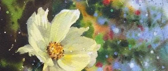 林金哲水彩花卉绘画作品欣赏