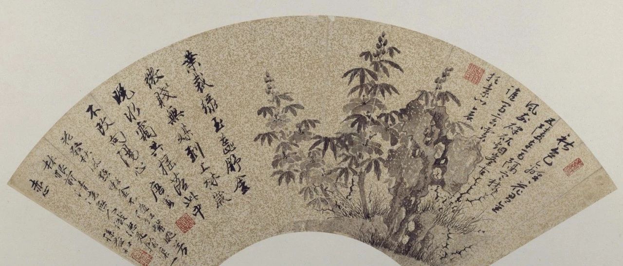 《秋葵图》唐寅（明） - 中国名画鉴赏语音讲解（二百四十四）