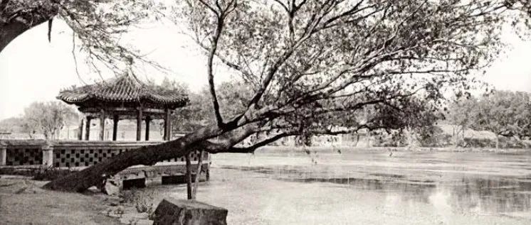 文学和绘画中的园林