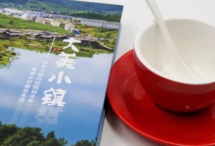 乡村振兴设计两部曲 |  文旅小镇+乡村生活
