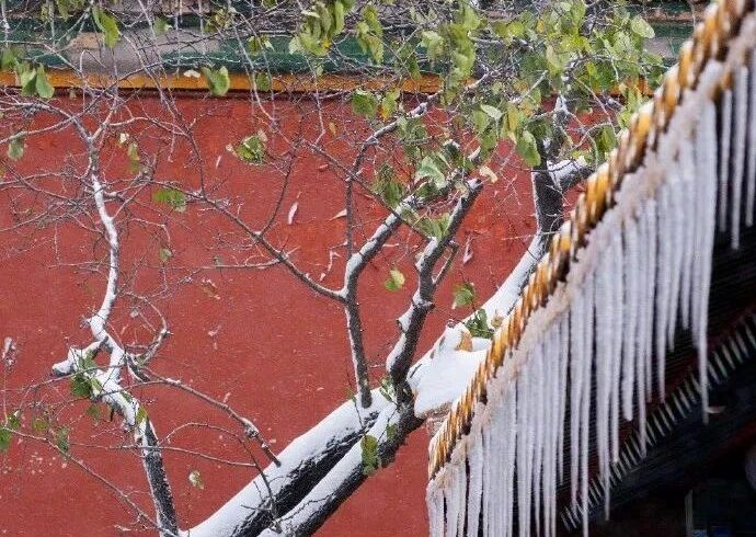 北京人可太喜欢下雪了！因为。。。