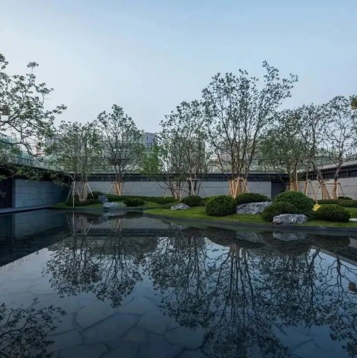 @景观人，植物设计如何落地已经开讲，超级干货不容错过！