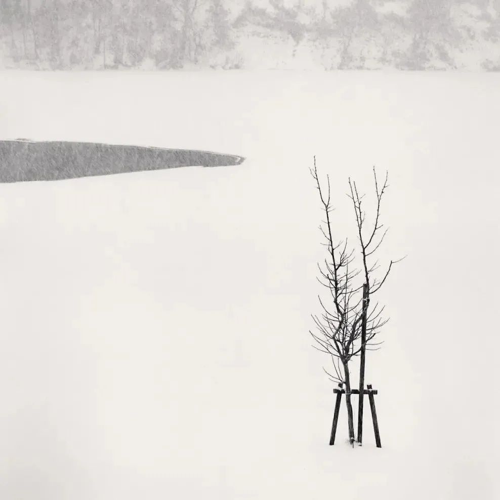 影像｜迈克尔·肯纳：禅意日本雪景