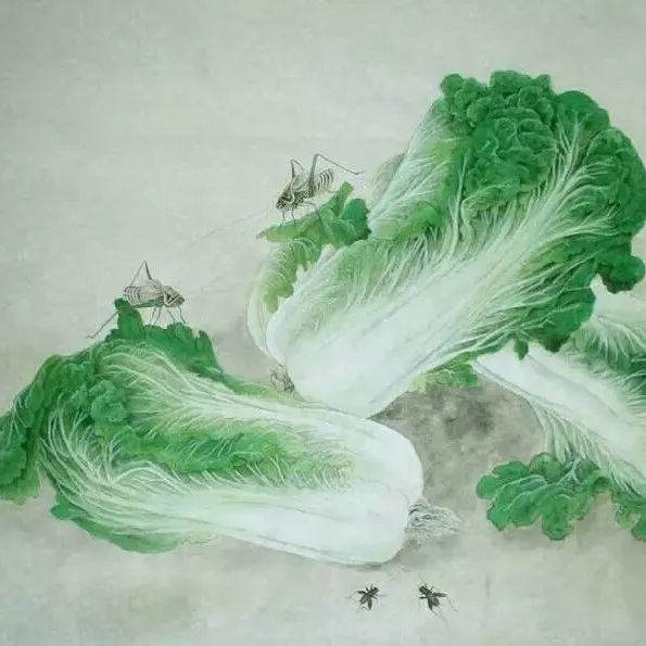 工笔画-《白菜》绘制步骤解析