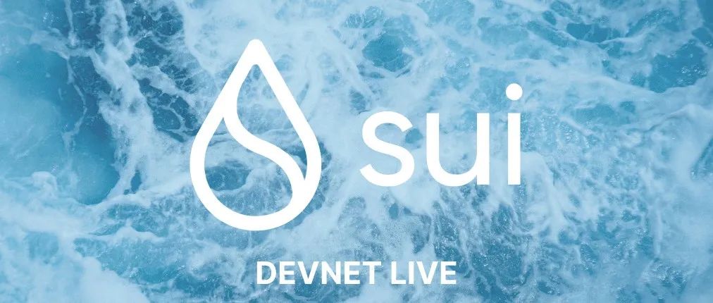 Sui公链：熊市的新晋独角兽