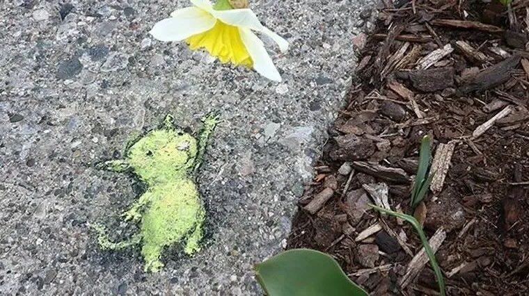 他的街头粉笔画让大街小巷萌萌哒