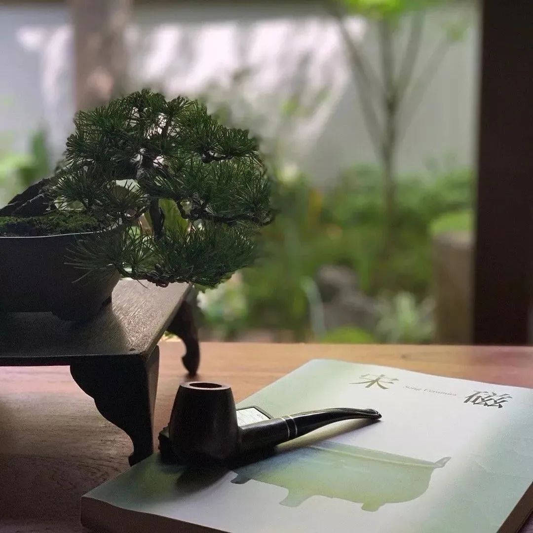 小院一座，几度春风几度雨