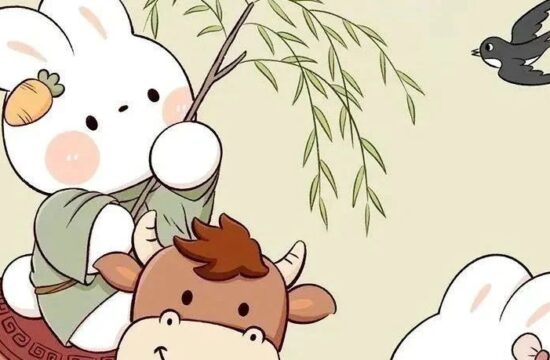 这组小兔兔，太可爱了！