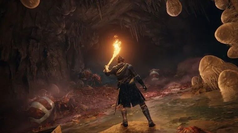 【海外】《艾尔登法环》：提供更具代入感的高自由度玩法