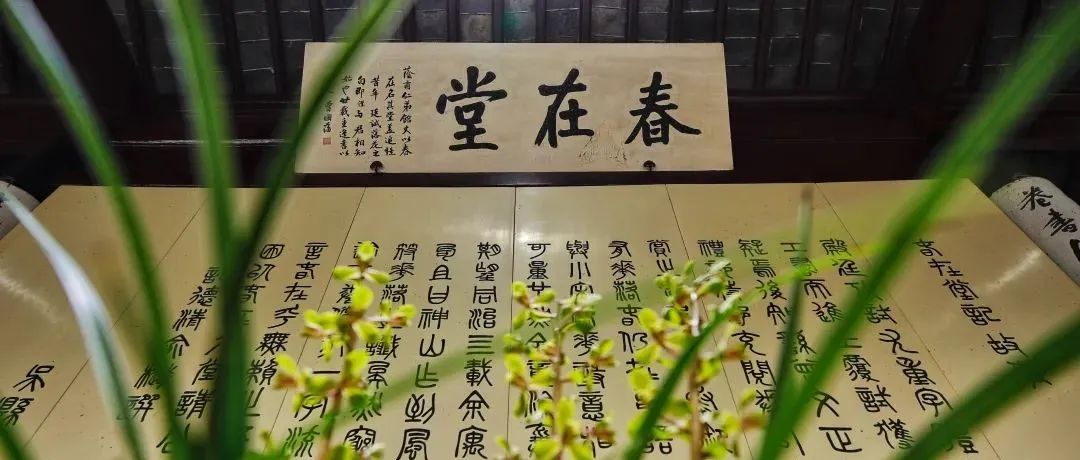 【盆景艺术】静是兰花
