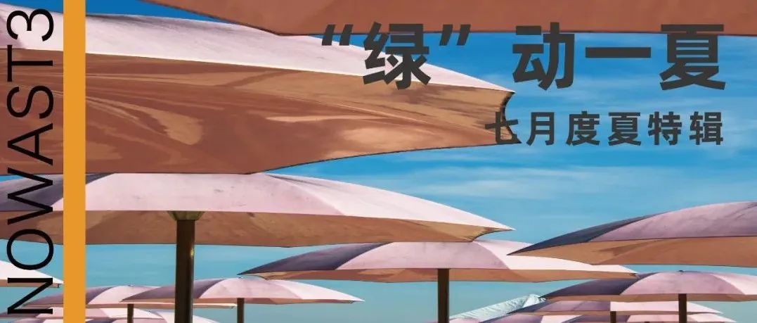不防晒的菊次郎挺不过夏天