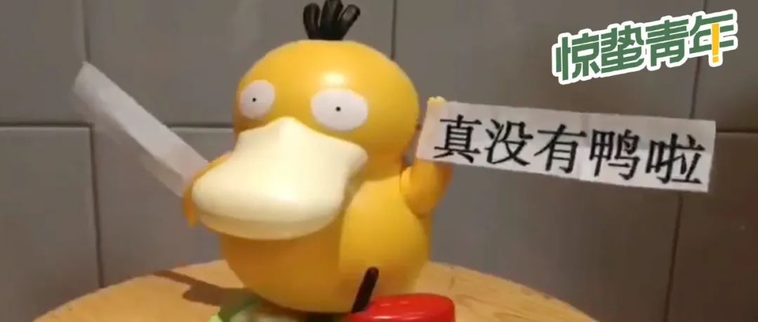 可达鸭，年轻人的社交硬通货
