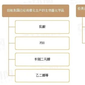2022中国生物基化学品行业发展形势分析：应用前景越来越广