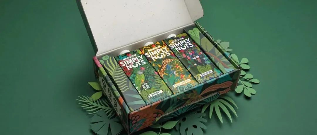 植物蛋白创意插画饮料包装设计