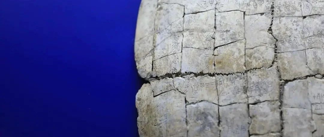 认出一个字奖励10万元！中国文字博物馆将分批推出未释读甲骨单字