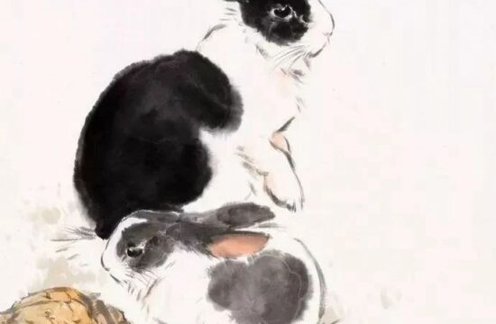 刘继卣画兔