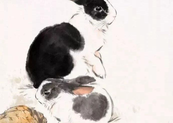 刘继卣画兔