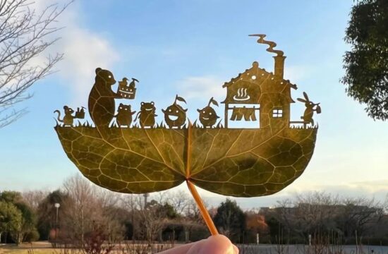 多动症艺术家，用叶子治愈自己，给观众带来一个个梦幻故事
