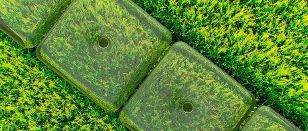 Urban Planting｜城市种植方案赏析