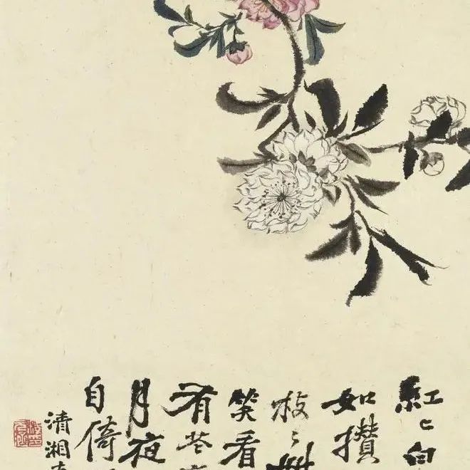 石涛笔下四季花卉，别具生趣
