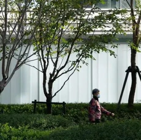 杭州凤起潮鸣社区景观设计 | 张唐作品