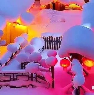 初雪
