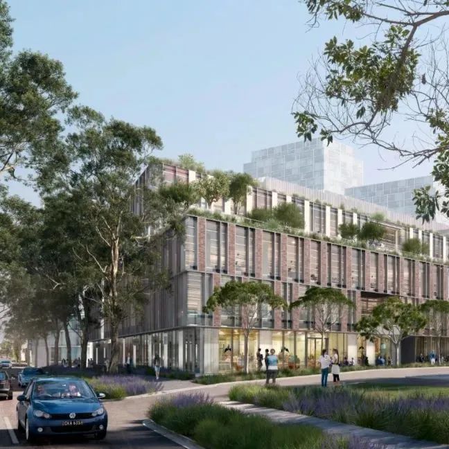 22 O’Riordan Street: Sydney’s new walk-up workplace