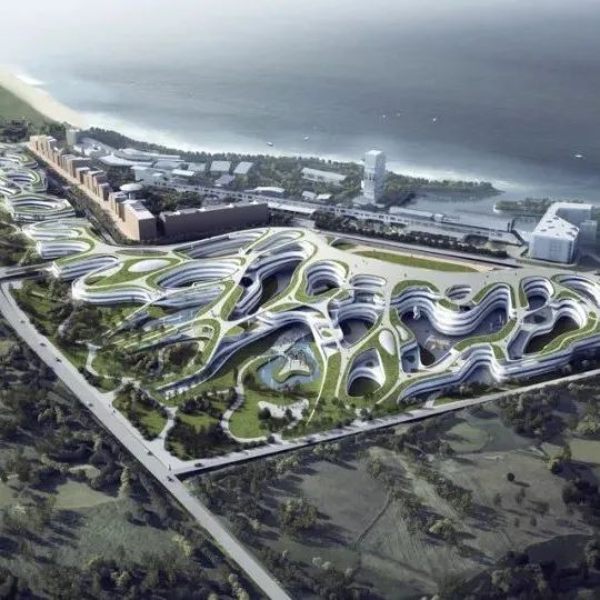 CAA公布中央美术学院青岛校区设计方案：用律动的线条勾勒海浪般的建筑轮廓