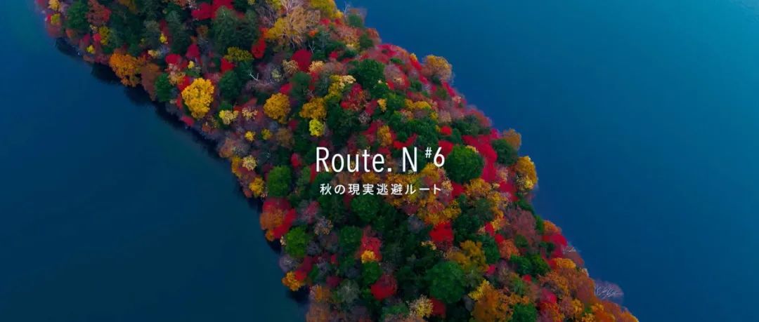 日本日光市旅游形象设计，太美了！