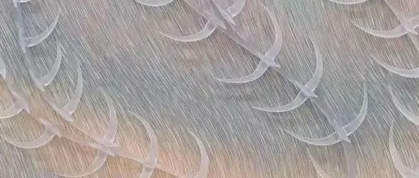 空间的张力——阿纳斯塔西娅·科马尔