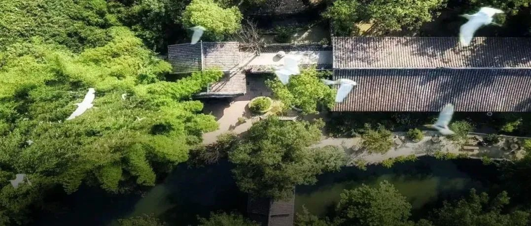 成都一家三口住30亩院子，被媒体捧红后，继续孤独打造乐园