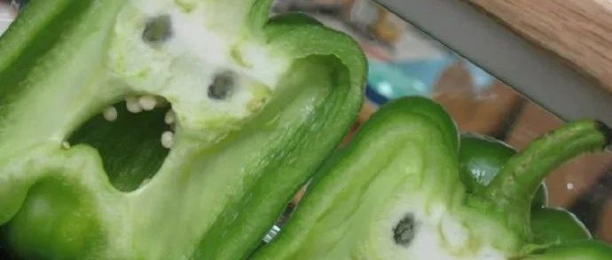 大脑：看什么都像人脸？恭喜你！开启了超进化