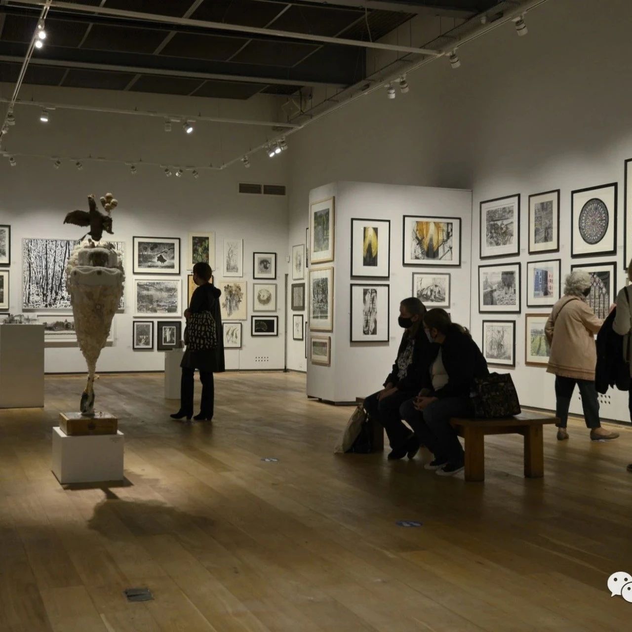 最后五天报名：第102届英国素描艺术协会国际年展