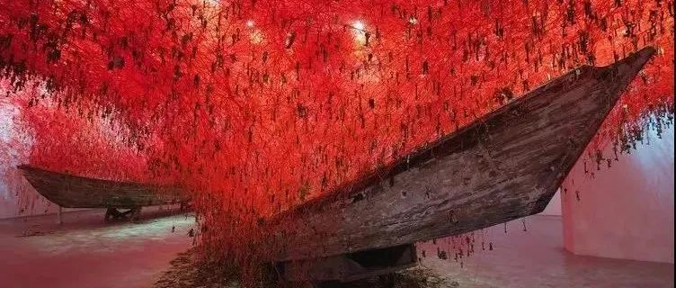 她用“一根线”编织出人类对生命的爱与尊重