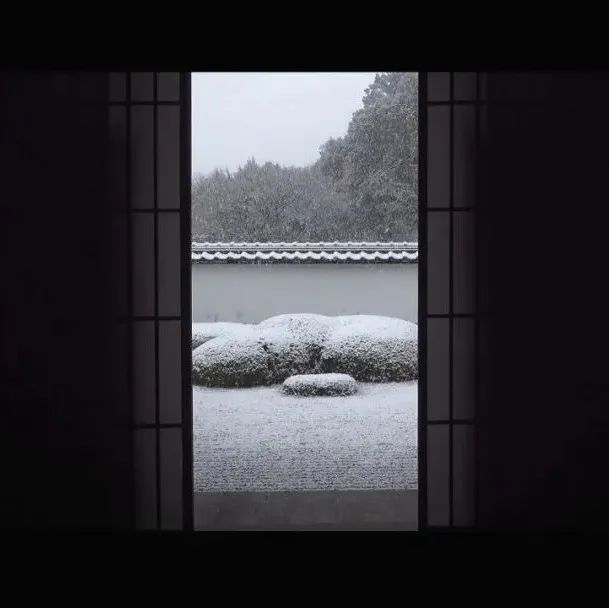 视频号丨静寂の庭，The Garden of Silence