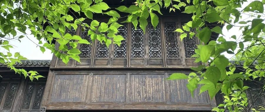 木心：一篇散文让乌镇送他一幢别墅