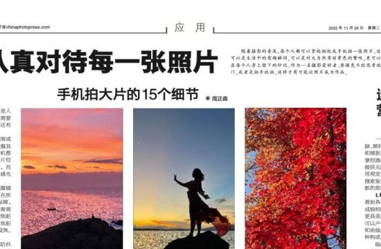 11月29日报纸版面速览
