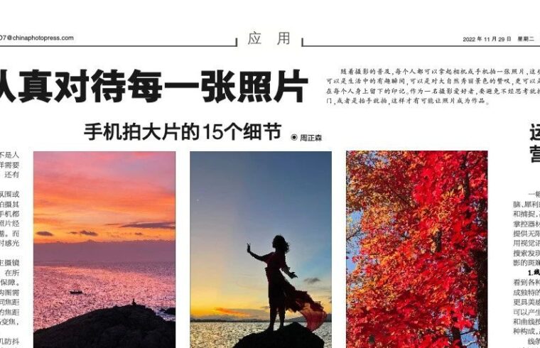 11月29日报纸版面速览