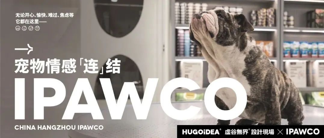 「虚谷出品」IPAWCO 宠物品牌视觉·故事，从一个纸团开始