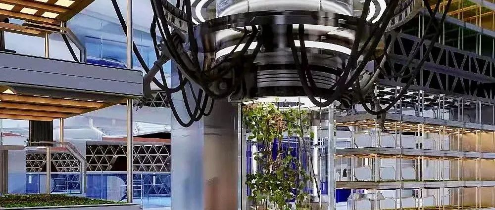 邦睿独家丨小体量改造能否重出江湖？从地域文化、人&货&场的关系入手，看成都REGULAR源野VS东安市场如何华丽转身！
