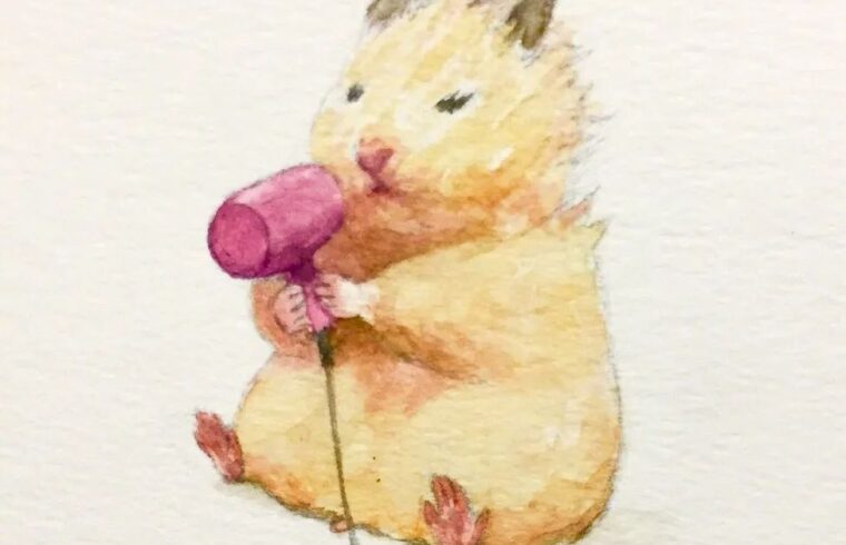 一组仓鼠的小生活GOTTE绘画作品欣赏