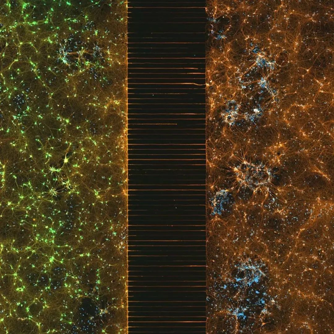 把地球放大60倍，不可思议的景象出现了，人类仿佛置身于外星球